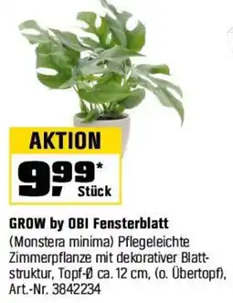 OBI GROW by OBI Fensterblatt (Monstera minima) Angebot
