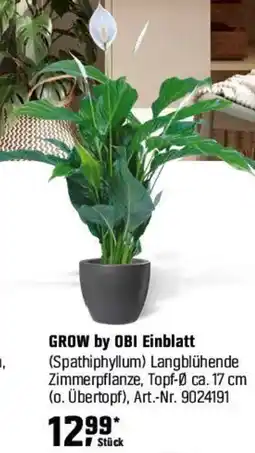 OBI GROW by OBI Einblatt (Spathiphyllum) Angebot