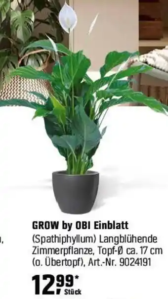OBI GROW by OBI Einblatt (Spathiphyllum) Angebot