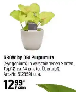 OBI GROW by OBI Purpurtute (Syngonium) Angebot