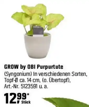 OBI GROW by OBI Purpurtute (Syngonium) Angebot