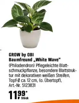 OBI GROW by OBI Baumfreund,,White Wave" (Philodendron) Angebot