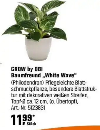 OBI GROW by OBI Baumfreund,,White Wave" (Philodendron) Angebot