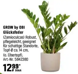OBI GROW by OBI Glücksfeder Angebot