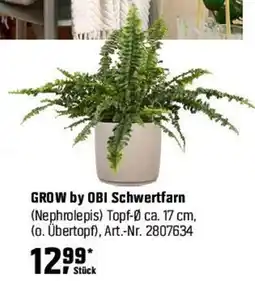 OBI GROW by OBI Schwertfarn (Nephrolepis) Angebot