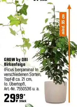 OBI GROW by OBI Birkenfeige Angebot