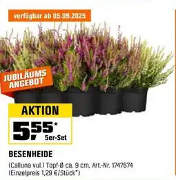 OBI BESENHEIDE Angebot