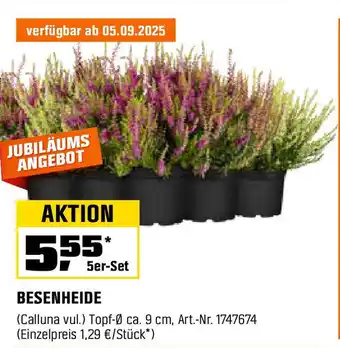 OBI BESENHEIDE Angebot