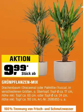 OBI GRÜNPFLANZEN-MIX Angebot