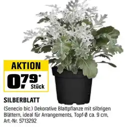 OBI SILBERBLATT Angebot