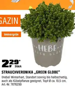 OBI STRAUCHVERONIKA „GREEN GLOBE" Angebot