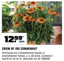 OBI GROW BY OBI SONNENHUT Angebot