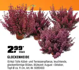 OBI GLOCKENHEIDE Angebot