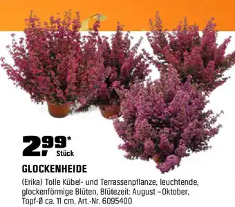 OBI GLOCKENHEIDE Angebot