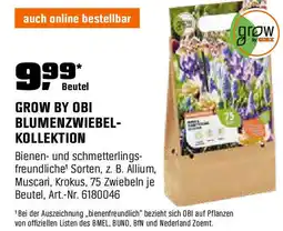 OBI GROW BY OBI BLUMENZWIEBEL- KOLLEKTION Angebot