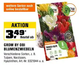 OBI GROW BY OBI BLUMENZWIEBELN Angebot
