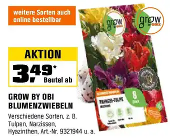 OBI GROW BY OBI BLUMENZWIEBELN Angebot