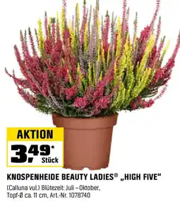 OBI KNOSPENHEIDE BEAUTY LADIES ,,HIGH FIVE" Angebot
