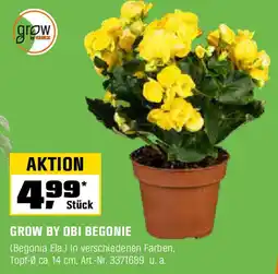 OBI GROW BY OBI BEGONIE Angebot