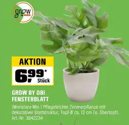 OBI GROW BY OBI FENSTERBLATT Angebot