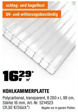 OBI HOHLKAMMERPLATTE Angebot