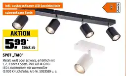 OBI SPOT ,,TAIO" Angebot