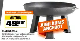 OBI FEUERSCHALE Angebot