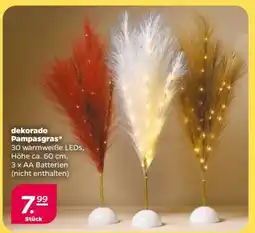 NETTO dekorado Pampasgras Angebot
