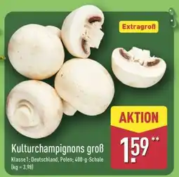 Aldi Nord Kulturchampignons groß Angebot
