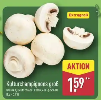 Aldi Nord Kulturchampignons groß Angebot