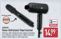 Aldi Nord Reise-Glätteisen/-Haartrockner Angebot