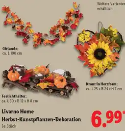 Lidl Livarno Home Herbst-Kunstpflanzen-Dekoration Angebot