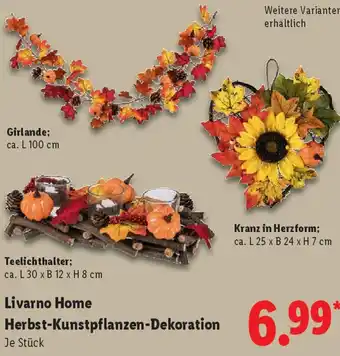 Lidl Livarno Home Herbst-Kunstpflanzen-Dekoration Angebot