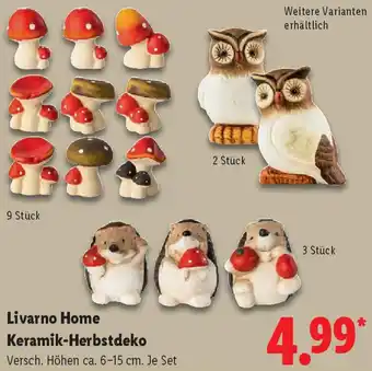 Lidl Livarno Home Keramik-Herbstdeko Angebot