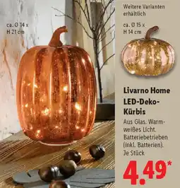Lidl Livarno Home LED-Deko Kürbis Angebot
