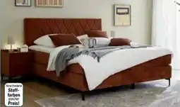 Möbel Inhofer Mondo Boxspringbett Angebot