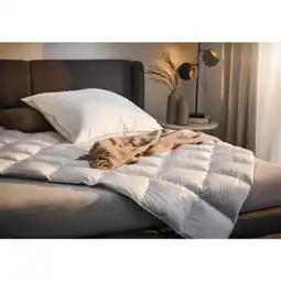 XXXLutz Centa-Star Ganzjahresbett La Lune Angebot