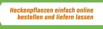 OBI Action 36 Angebot
