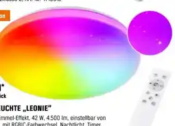 OBI Brilliant LED-Deckenleuchte Leonie Angebot