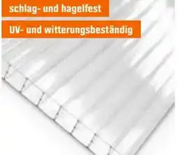 OBI Hohlkammerplatte Angebot