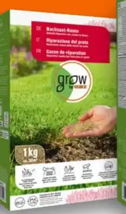 OBI Grow By Obi Nachsaatrasen Angebot