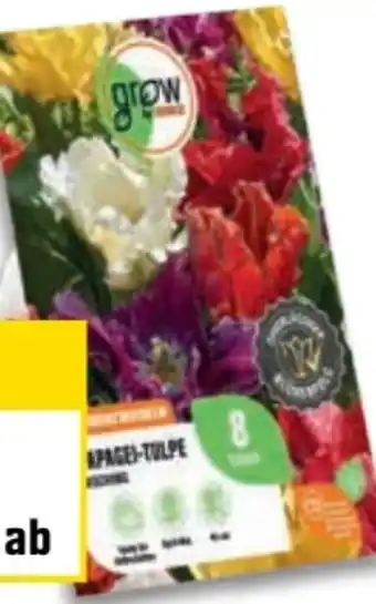 OBI Grow By Obi Blumenzwiebel Angebot