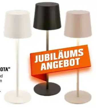 OBI Brilo Akku-LED-Tischleuchte Bota Angebot