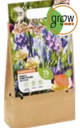 OBI Grow By Obi Bienen-und Schmetterlinge-Kollektion Mischung Angebot