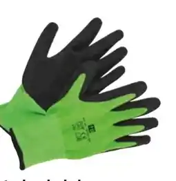 OBI Latex-Gartenhandschuhe Angebot