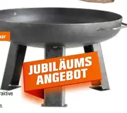 OBI buschbeck Feuerschale Angebot