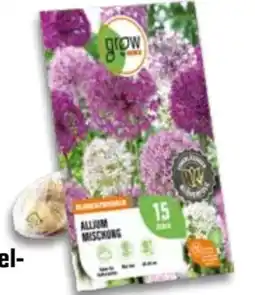 OBI Grow By Obi Zierlauch Blumenzwiebel Mischung Angebot