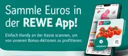 REWE Action 18 Angebot