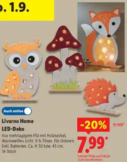 Lidl Livarno Home LED-Deko Angebot