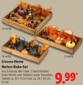 Lidl Livarno Home Herbst-Deko-Set Angebot